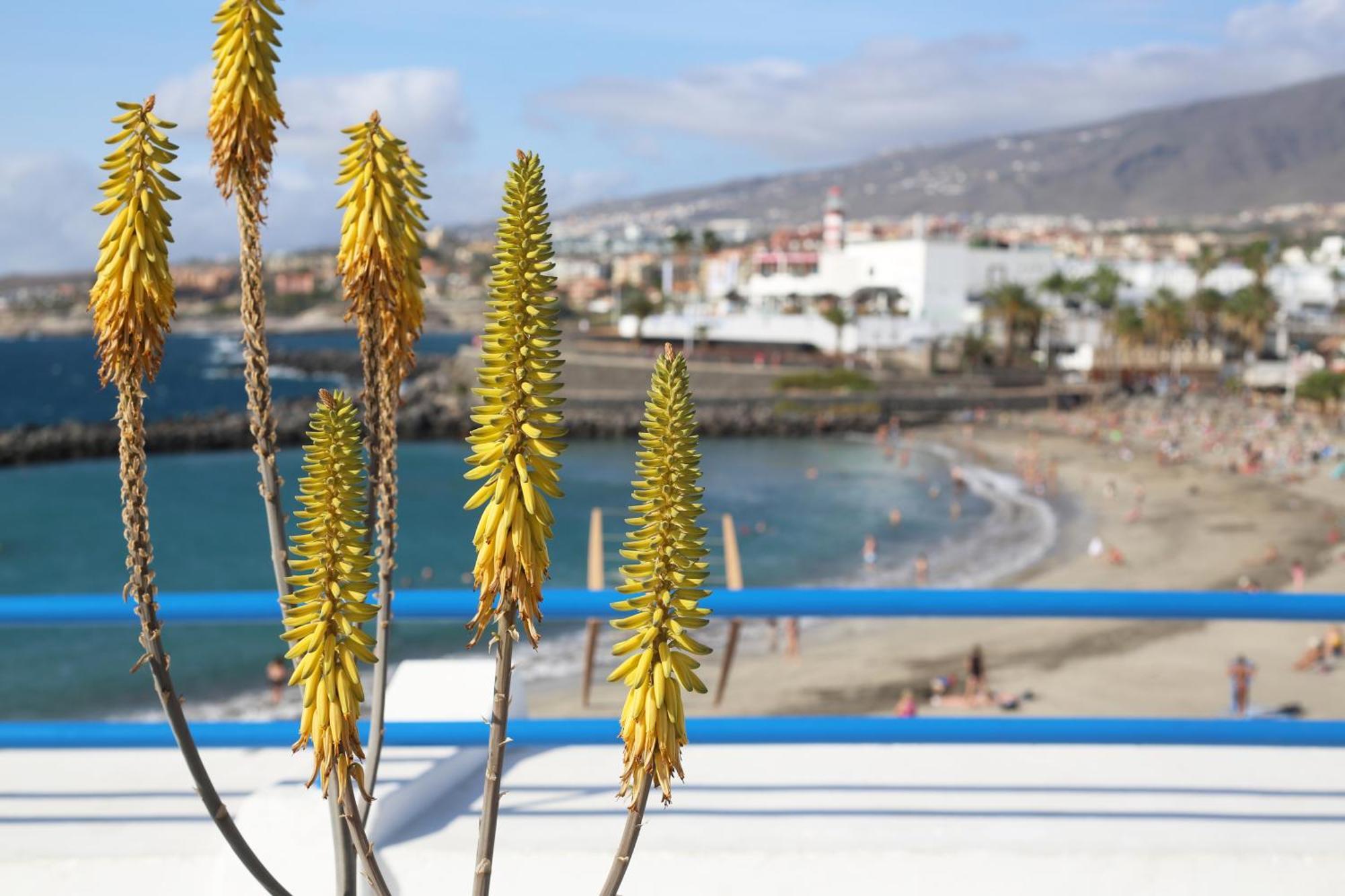 Luxury Romantic Ocean View Costa Adeje  Exteriör bild